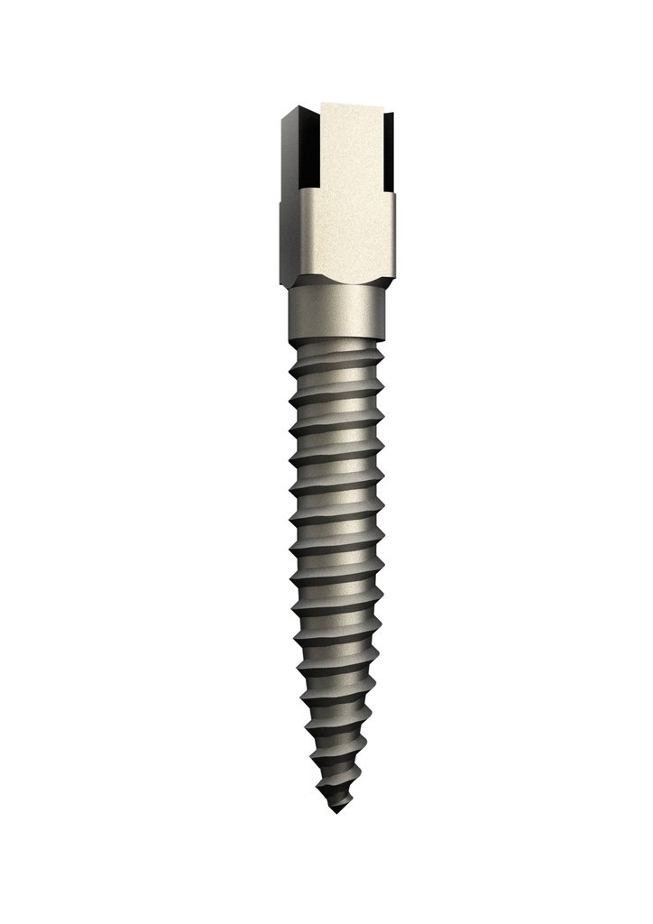 Tenons Dentatus Classic Surtex titane – Court 7,8 mm, Ø 1,35 – vue 2