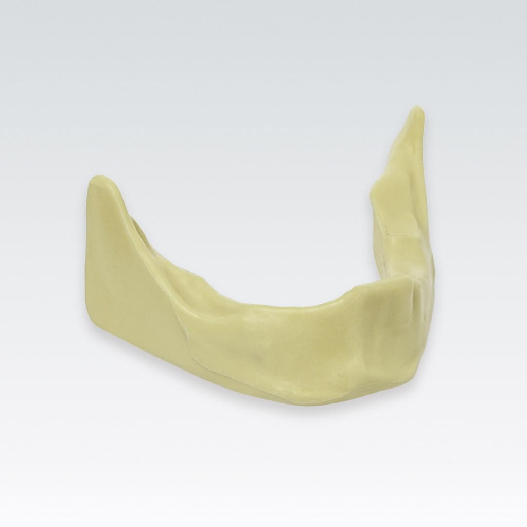 Frasaco Implantat-Trainingsmodell mit geschlossenen Alveoli – Ref. A-J KG