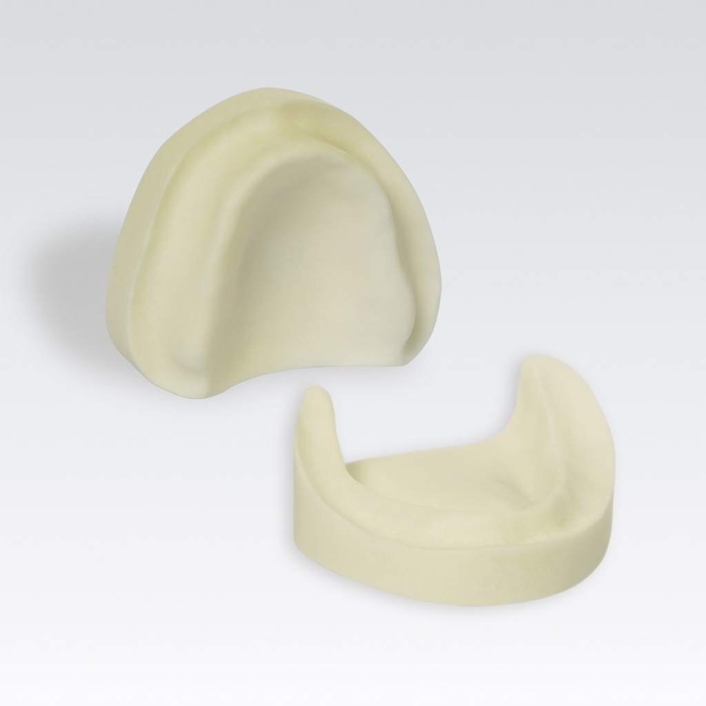Frasaco Edentulous model without gingivae – ref. B-3 NHJO