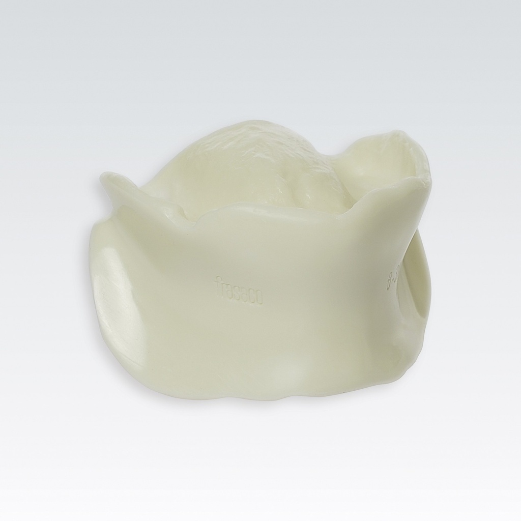 Frasaco bite registration block – ref. B-3 NMB