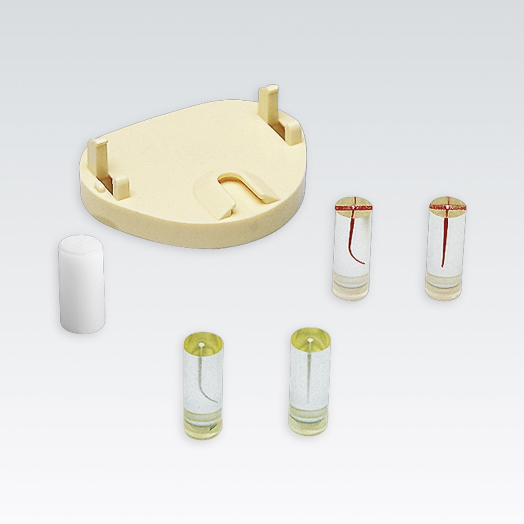 Frasaco instructeur d'endodontie jeu complet – réf. A-ETS
