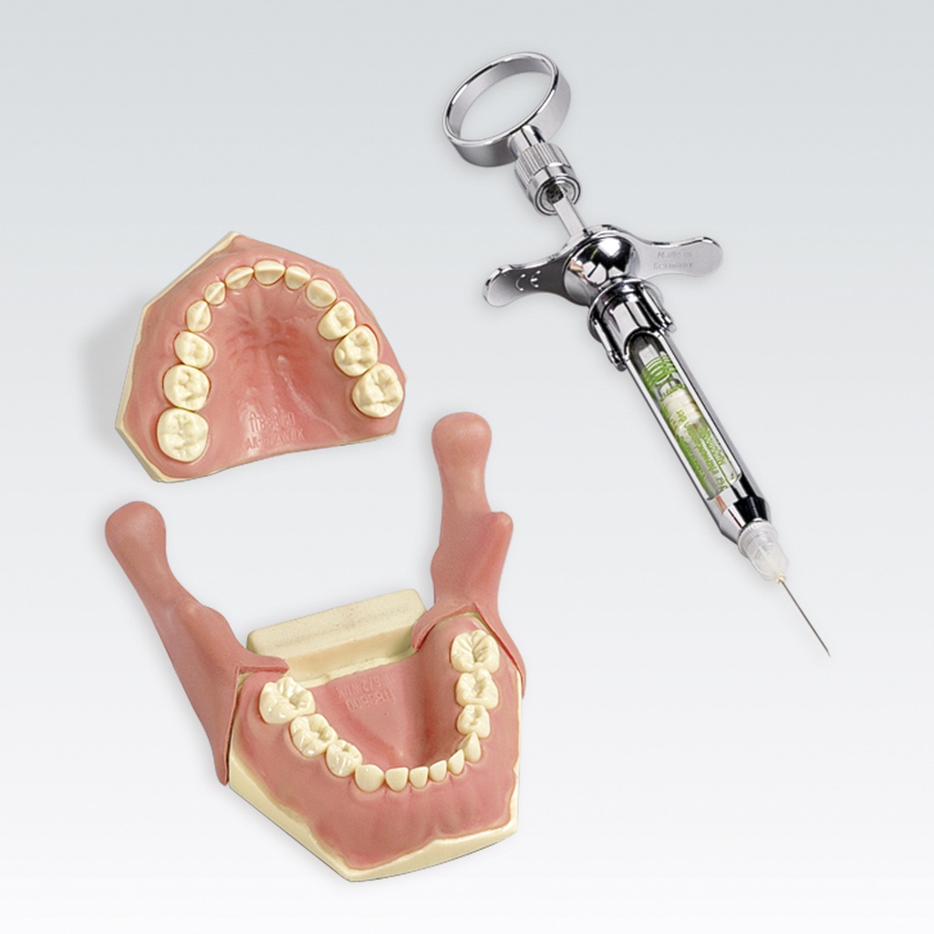 Frasaco pediatric anaesthesia model incl. syringe – ref. AK-6/2 IB