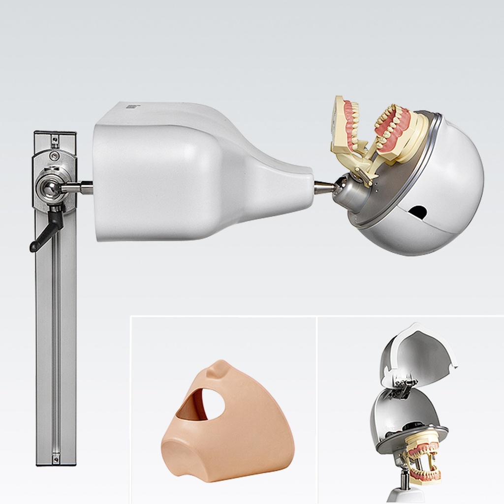 Frasaco dental training system – ref. PK-1 TKUTDS