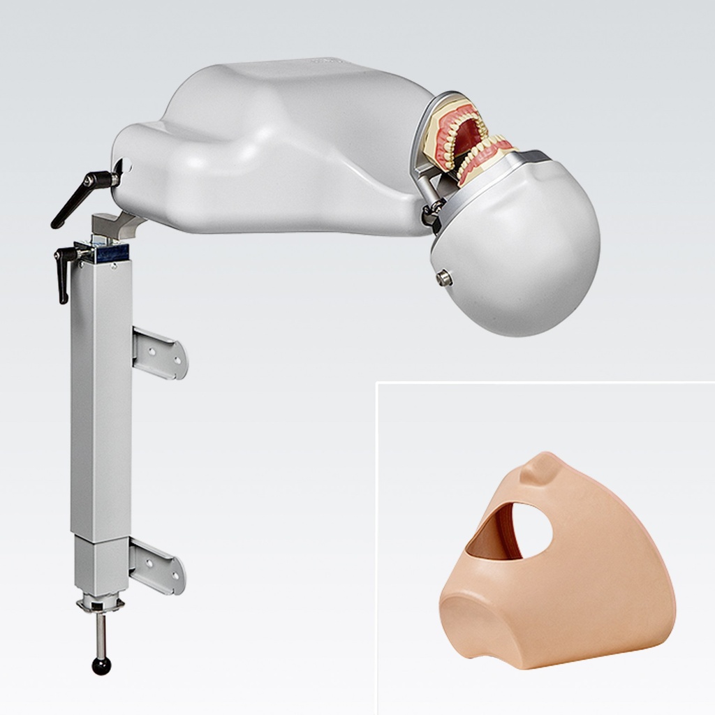 Frasaco dental training system with Lift-O-Mat mounting – ref. P-6/5 TL