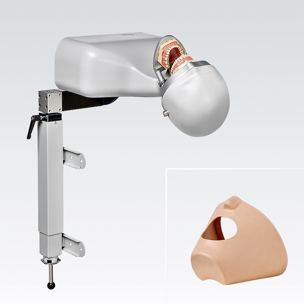 Frasaco Dental-Trainingssystem – Ref. P-6/3 TKL