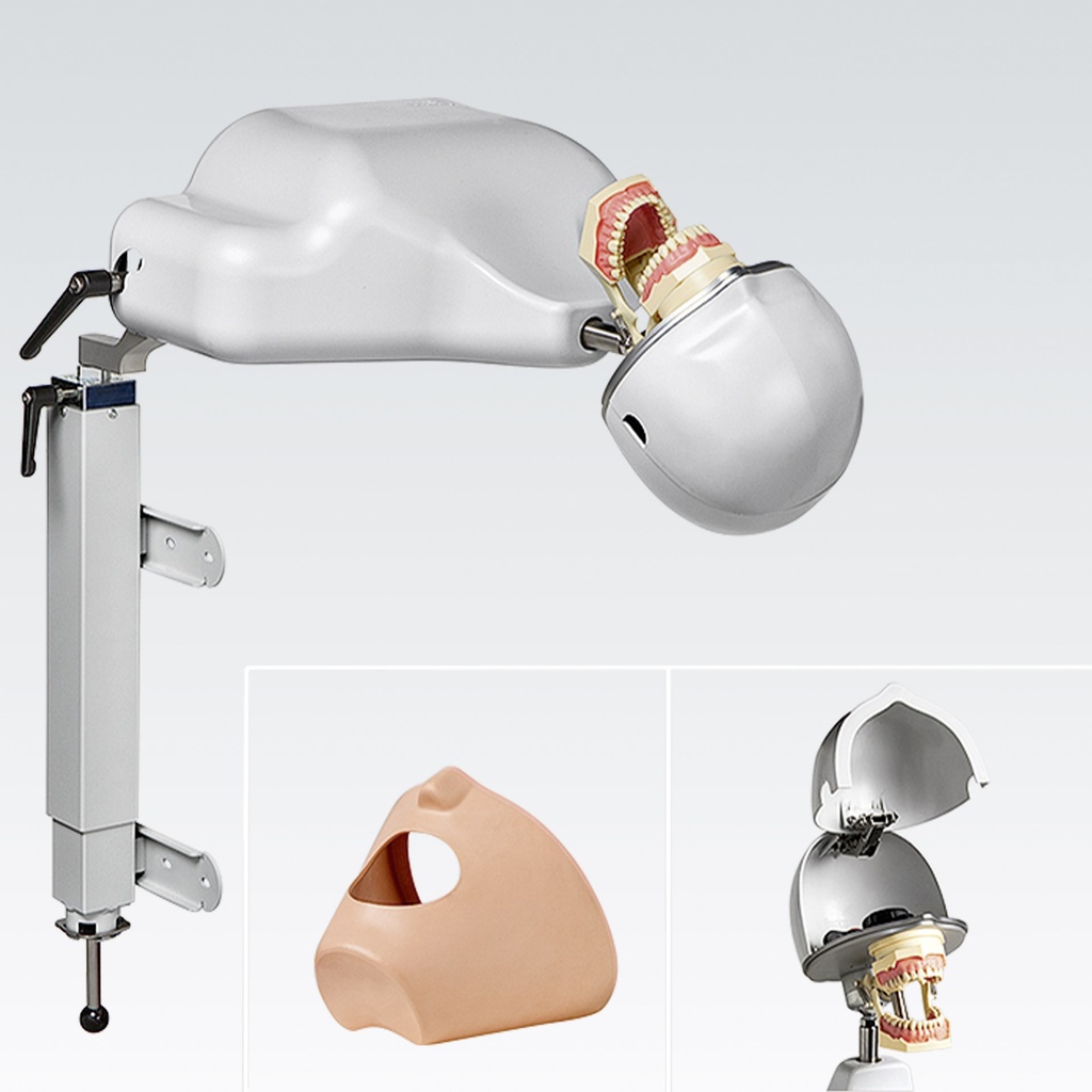 Frasaco système de simulation dentaire avec fixation Lift-o-Mat – réf. PK-1 TL