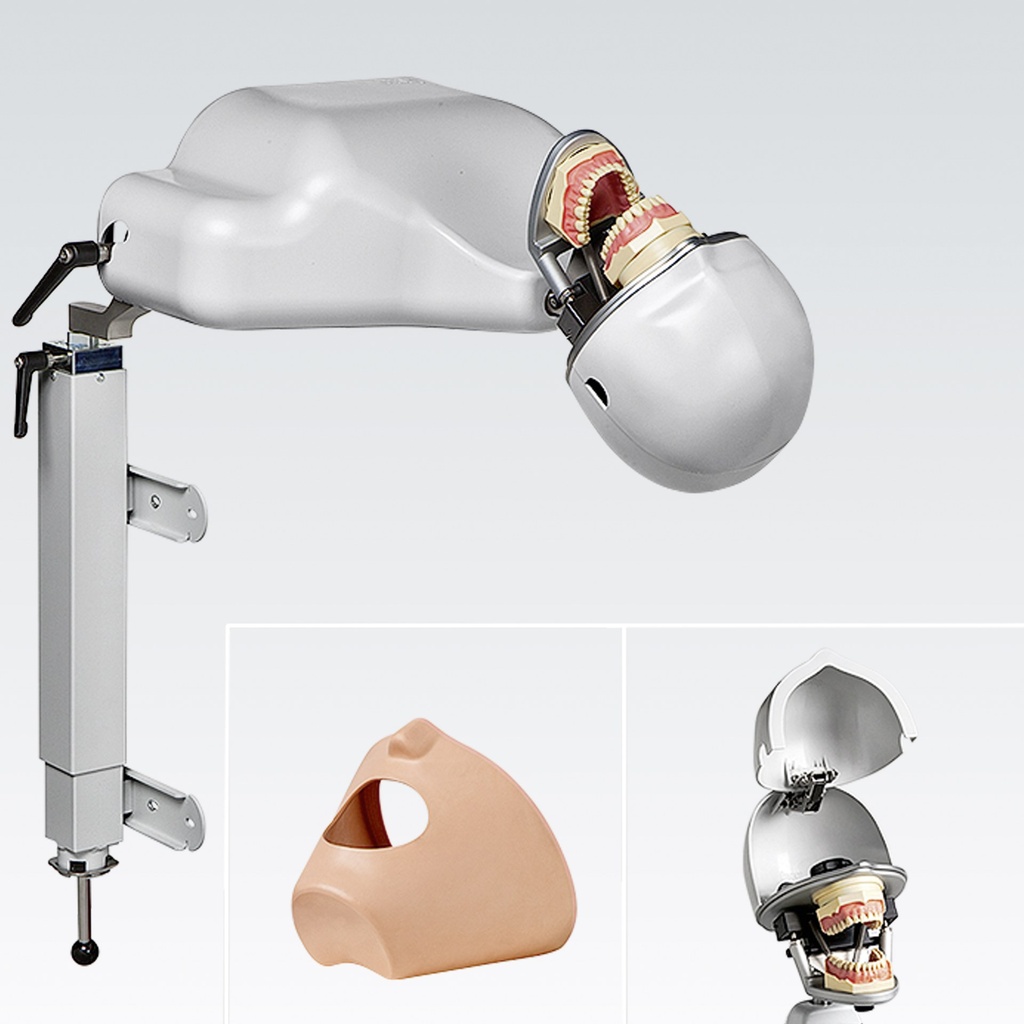 Frasaco système de simulation dentaire avec fixation Lift-o-Mat – réf. PK-2 TL