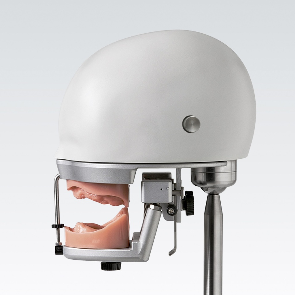 Frasaco Phantomkopf – Ref. P-6/3 PRO
