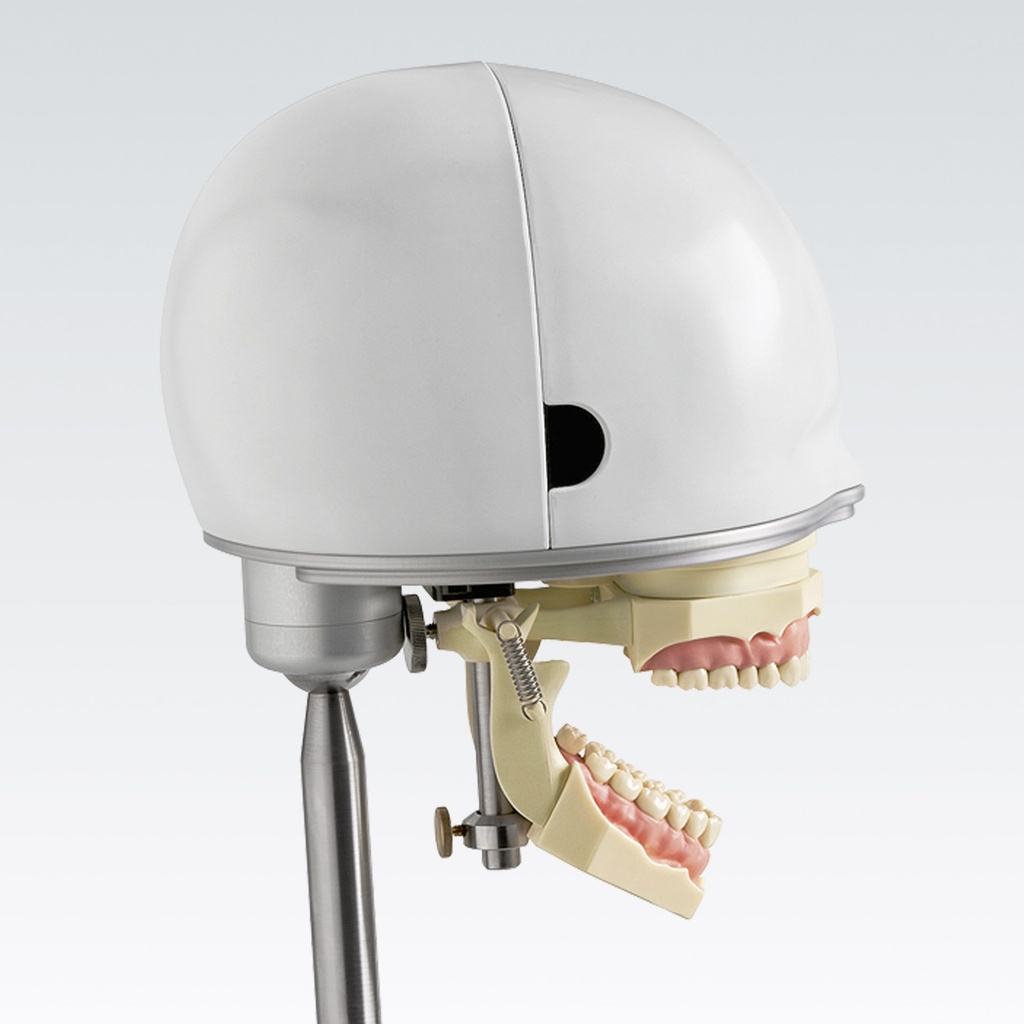 Frasaco tête fantôme PK-1 avec colonne de fixation – réf. PK-1 P-BS